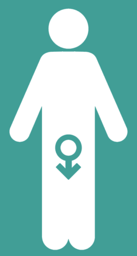 Male infirm and increase of member