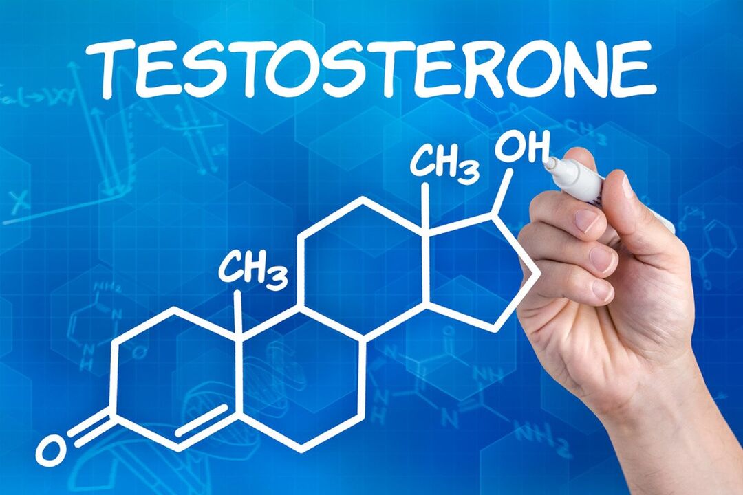testosterone and its influence on penis size at the age of 14