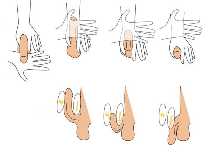 Bending the penis to increase it